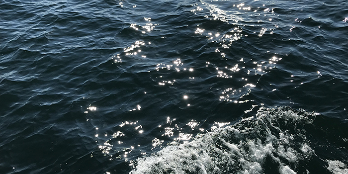 Sea. Photo: Helle Falborg.